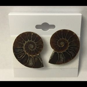 Handmade Studs Earrings made of Natural Ammonite Fossil